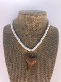 Large Shark Tooth Necklace